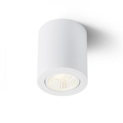   Rendl R10375 MAYO R mennyezeti forgatható lámpa fehér  230V LED 9W 36°  2700K, Rendl Light Studio