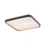 Rábalux 71029 Liatris Mennyezeti lámpa szürke E27 1x MAX 40 IP20