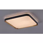 Rábalux 71029 Liatris Mennyezeti lámpa szürke E27 1x MAX 40 IP20