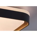 Rábalux 71029 Liatris Mennyezeti lámpa szürke E27 1x MAX 40 IP20