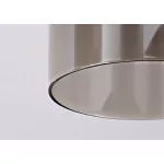Rábalux 71034 Chadwick Mennyezeti lámpa fekete-füstszínű E27 4x MAX 25, IP20