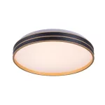 Rábalux 71141 Gandor Mennyezeti lámpa fekete LED 18 IP20