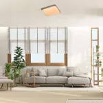 Rábalux 71166 Druzor Beltéri lámpa, Mennyezeti lámpa, barna-fehér LED 40, IP20