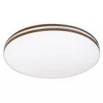 Rábalux 71173 Oscar2 Beltéri lámpa Mennyezeti lámpa fehér, fehér LED 18, természetes fehér (3500-5000 K), IP20