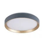 Rábalux 71185 Liatris2 Beltéri lámpa Mennyezeti lámpa szürke, fehér LED 24, meleg fehér (2700-3000K), IP20