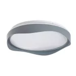Rábalux 71250 Israh Beltéri lámpa Mennyezeti lámpa szürke, fehér LED 24, természetes fehér (3500-5000 K), IP20
