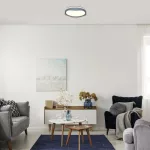 Rábalux 71250 Israh Beltéri lámpa Mennyezeti lámpa szürke, fehér LED 24, természetes fehér (3500-5000 K), IP20