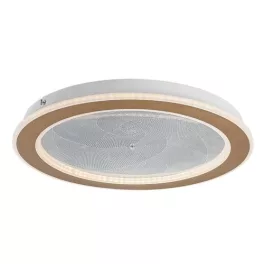   Rábalux 71281 Efrael Beltéri lámpa, Mennyezeti lámpa, arany-átlátszó LED 24, IP20