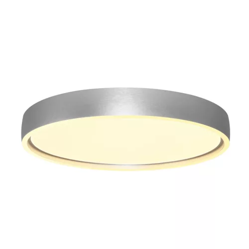 Rábalux RBL71289 Dewson Beltéri lámpa Mennyezeti lámpa súrolt alumínium, fehér LED 37 IP20