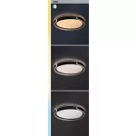 Rábalux 71292 Jindri Beltéri lámpa, Mennyezeti lámpa, fekete/ arany-fehér LED 48, IP20