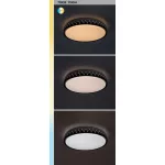 Rábalux 71304 Malin Beltéri lámpa, Mennyezeti lámpa, fekete/ szürke-fehér LED 48, IP20