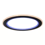 Rábalux 71406 Golwen Beltéri lámpa, Mennyezeti lámpa, fekete-fehér LED 22, IP20