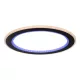 Rábalux 71406 Golwen Beltéri lámpa, Mennyezeti lámpa, fekete-fehér LED 22, IP20