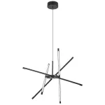 Rábalux 72338 Henli2 Beltéri lámpa, Függeszték, fekete-fehér LED 40, IP20