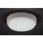 Rábalux 7406 Hort Kültéri fali lámpa/ Kültéri mennyezeti fehér-fehér LED 15, IP54