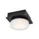 Rábalux 75001 Attichus Fürdőszobai lámpa matt fekete-fehér LED 5, IP44