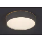 Rábalux 75010 Larcia Mennyezeti lámpa ezüst-fehér LED 18, IP44