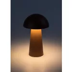 Rábalux 76039 Mireo Beltéri lámpa, Dekor lámpa, barna-fehér LED 1,5, IP44