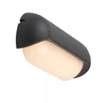 Rábalux 77041 Hulst Kültéri lámpa Kültéri fali lámpa antracit, fehér LED 13, meleg fehér (2700-3000K), IP65