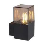 Rábalux 77080 Loanda Kültéri lámpa Kültéri fali lámpa fekete, füstszínű E27 1x MAX 60, IP54