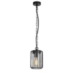 Rábalux 77107 Tarpa Kültéri lámpa, Kültéri függeszték, fekete-átlátszó E27E27 1x MAX 40, IP44