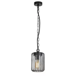   Rábalux 77107 Tarpa Kültéri lámpa, Kültéri függeszték, fekete-átlátszó E27E27 1x MAX 40, IP44
