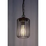 Rábalux 77107 Tarpa Kültéri lámpa, Kültéri függeszték, fekete-átlátszó E27E27 1x MAX 40, IP44