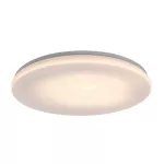 Rábalux 77135 Lowar Kültéri lámpa, Kültéri mennyezeti lámpa, fehér-fehér LED 36, IP44