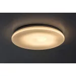 Rábalux 77135 Lowar Kültéri lámpa, Kültéri mennyezeti lámpa, fehér-fehér LED 36, IP44