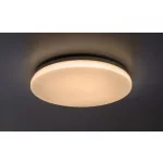 Rábalux 77140 Lowar Kültéri lámpa, Kültéri mennyezeti lámpa, fehér-fehér LED 24, IP44