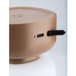 Rábalux 77143 Funes Kültéri lámpa, Kültéri dekor világítás, barna-fehér LED 3, IP44