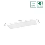 ALGINE Backlight LED-panel, 40 W, IP20, 300x1200 mm, Hideg fehér SLI035059CW_PW SpectrumLED