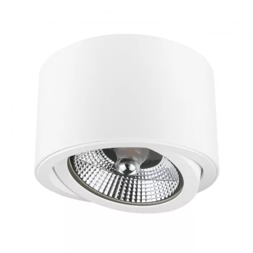 CHLOE AR111 IP20 kerek fehér billenthető SLIP005012 SpectrumLED