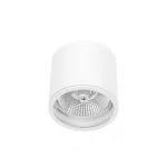 CHLOE AR111 GU10 IP65 round white SLIP005031 SpectrumLED