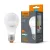 LED Bulb VIDEX-E27-A60-8W-CW VLE-A60e-08276