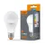 LED Bulb VIDEX-E27-A65-15W-CW VLE-A65e-15276