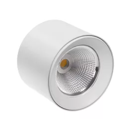   CEL ZOSMA 3 ROUND 830 19W 230V 40st White WOJP00814 SpectrumLED