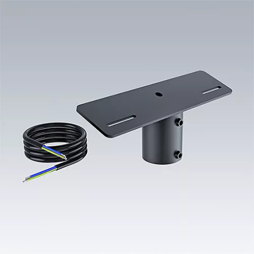 TECO LEO MOUNT POLE 42/60 GR
